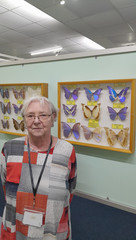 Eine Seniorin steht vor einer Schmetterlingscollage einer Ausstellung und blickt in die Kamera bei Gruppenreise nach Zinnowitz an der Ostsee