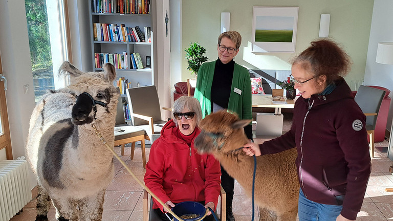 Diakonie Hospiz Wannsee - Nachricht -  Lama Fontano, Gästin Lieselotte Strempel, Pflegedienstleiterin Doreen Kossack, Alpaka Mandu und Olga Weinert vom Lama Zentrum (v.l.) im Wohnzimmer des Diakonie Hospiz Wannsee