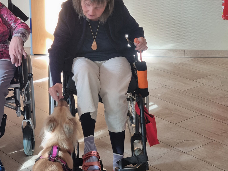 Besuchshund Maja zu Besuch im Immanuel Haus Ecktannen