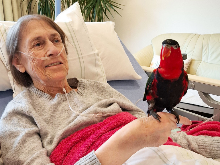 Weiblicher Hospizgast liegt im Bett und hat einen Papagei auf der Hand