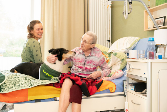 Diakonie Hospiz Woltersdorf - Pressemitteilungen - Leben bis zuletzt: Diakonie Hospiz Woltersdorf feiert sein fünfjähriges Bestehen - Hospizgast freut sich über Hund Ludwig Diakonie Hospiz Woltersdorf - Pressemitteilungen - Leben bis zuletzt: Diakonie Hospiz Woltersdorf feiert sein fünfjähriges Bestehen - Hospizgast freut sich über Hund Ludwig
