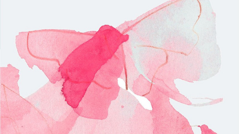 Abstraktes Bild eines Schmetterlinks in verschiedenen Rosa-Tönen, Letzte Hilfe-Kurs, Veranstaltung, Kurs, Diakonie Hospiz Wannsee, Berlin-Wannsee Abstraktes Bild eines Schmetterlinks in verschiedenen Rosa-Tönen, Letzte Hilfe-Kurs, Veranstaltung, Kurs, Diakonie Hospiz Wannsee, Berlin-Wannsee