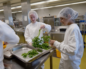 Schülerinnen bereiten in der Zentralküche Gemüse zu beim Girls’ Day bei der Albertinen Services Hamburg in Rellingen