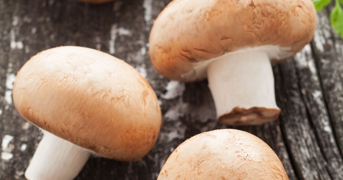 Champignon-Gemüse-Curry - Immanuel Albertinen kocht - Speisenversorgung ...