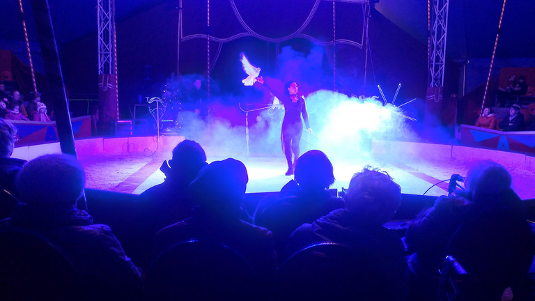 Unvergessliche Momente im Zirkus – Tagesgäste erleben Akrobatik und Dressur Unvergessliche Momente im Zirkus – Tagesgäste erleben Akrobatik und Dressur