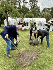 Mitarbeitende pflanzen mit einer Gartenschaufel einen Apfelbaum ein beim Fest zum 25-jährigen Jubiläum des Immanuel Suchthilfeverbunds Guben mit besonderen Wohnformen für abhängigkeitskranke Menschen in Thüringen