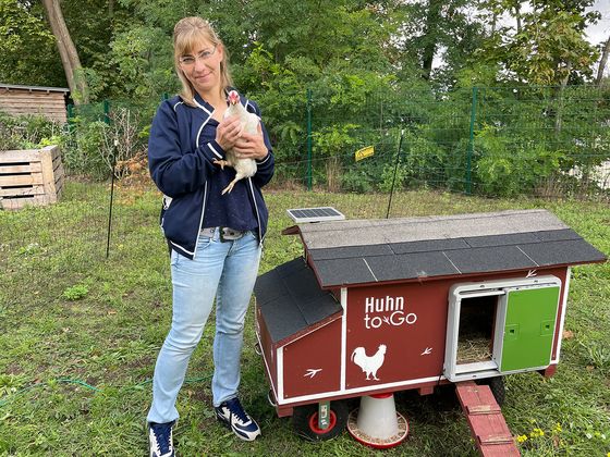 Eine Frau hält ein Huhn in der Hand in eine Garten mit Hühnerstall, Nachrichten, Diakonie Hospiz Woltersdorf Eine Frau hält ein Huhn in der Hand in eine Garten mit Hühnerstall, Nachrichten, Diakonie Hospiz Woltersdorf