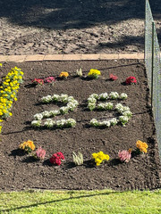 Ein Blumenbeet mit einer aus Blumen geformten Zahl 25 beim Festakt zum 25-jährigen Jubiläum des Immanuel Suchthilfeverbunds Guben mit besonderen Wohnformen für abhängigkeitskranke Menschen in Thüringen