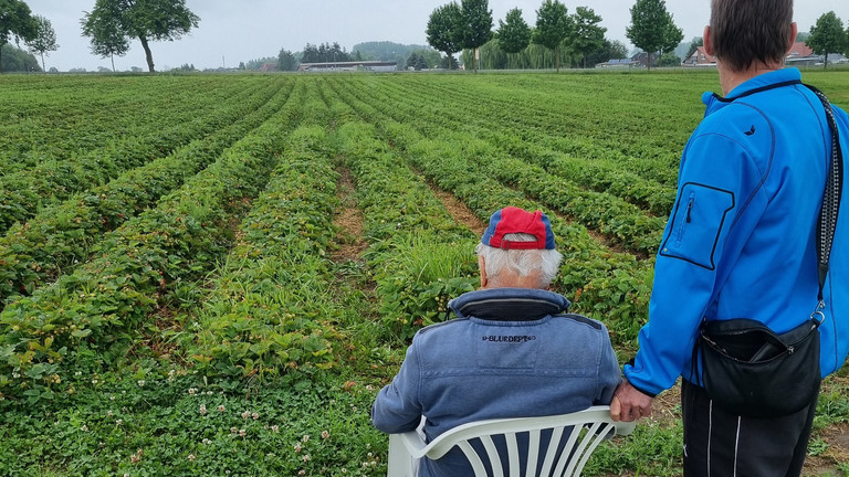 Nach erfolgreicher Ernte ruhen sich die beiden Besucher am Feld aus Nach erfolgreicher Ernte ruhen sich die beiden Besucher am Feld aus