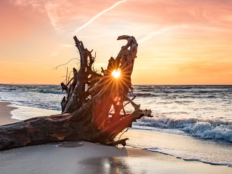 Sonnenuntergang am Strand von Langeoog mit Treibholz im Vordergrund und Wellen der Nordsee – stimmungsvolle Szenerie zu den Psychodynamischen Tagen Langeoog 2026. Sonnenuntergang am Strand von Langeoog mit Treibholz im Vordergrund und Wellen der Nordsee – stimmungsvolle Szenerie zu den Psychodynamischen Tagen Langeoog 2026.